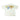 PEANUT STAIN - Invasion Ivory Wide Shoulder Oversized Tshirt